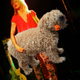 Image for article titled These Bass Players Look Like They're Petting Dogs, And It's Amazing